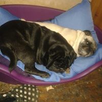 Christine Bange Photo 2