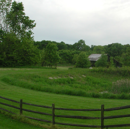 Stephen Harkness Photo 16