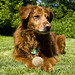 Toby Ball Photo 21