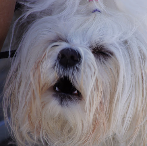 Rick Phelps Photo 45 Rick Phelps Photo 45