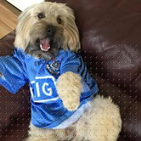 Jackie Fitzpatrick Photo 40