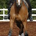 Karen Rider Photo 26