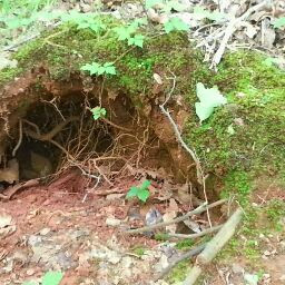 Tina Reeves Photo 29