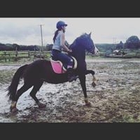 Michelle Harry Photo 40