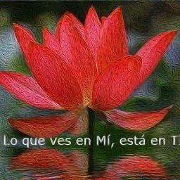 Julia Gutierrez Photo 6