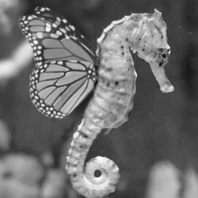 Janine Perez Photo 4