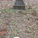 Anne Boyle Photo 19