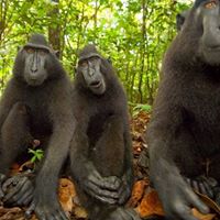 Charles Fritz Photo 6