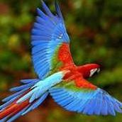 Wanda Dillard Photo 25