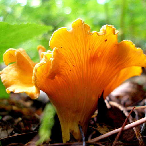 Rebecca Rader Photo 14