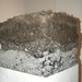 Don Maynard Photo 7