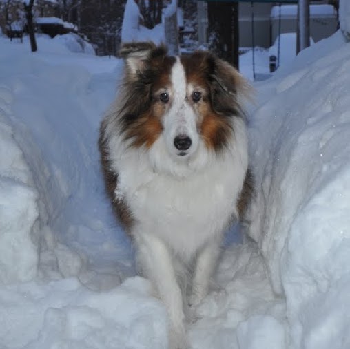 Jeffrey Baker Photo 53