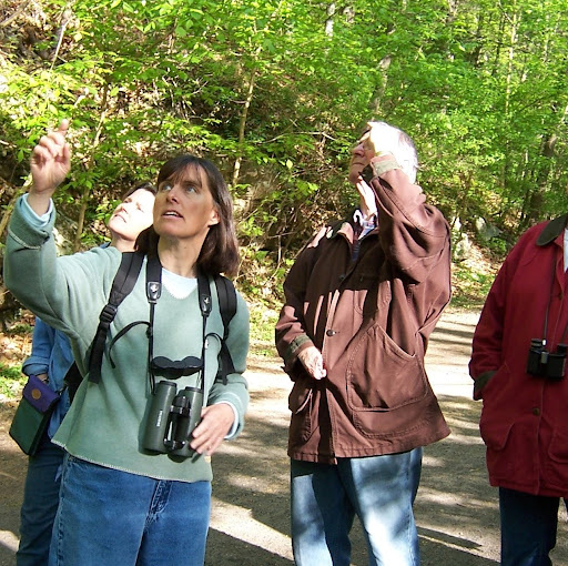 Debbie Carr Photo 30