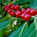 Jeffery Berry Photo 30