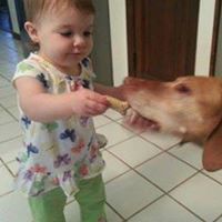 Joanne Vaughn Photo 8