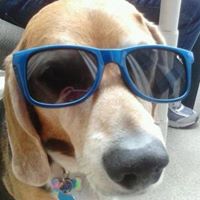 Mary Muller Photo 22