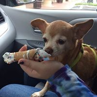 Joyce Levine Photo 20