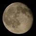 Ron Moon Photo 19