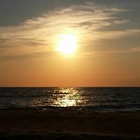 Christine Lind Photo 25