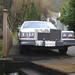 Anthony Potts Photo 22
