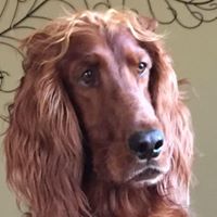 David Wertz Photo 23