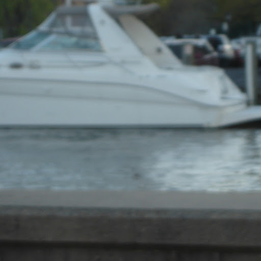 Selina Johnson Photo 17