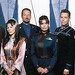 Jerry Scoggin Photo 8