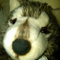 Charlie Hendrickson Photo 12