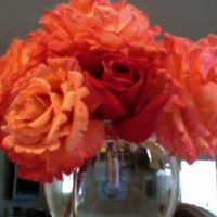 Robin Rasmussen Photo 6