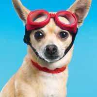 Stephen Hay Photo 26 Stephen Hay Photo 26