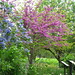 Ruth Davis Photo 37