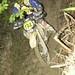 Erika Roths Photo 7