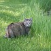 Jenny Tuttle Photo 23