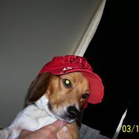 Daniel Curtis Photo 26