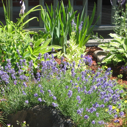 Tracy Moran Photo 19