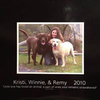 Kristi Powell Photo 43