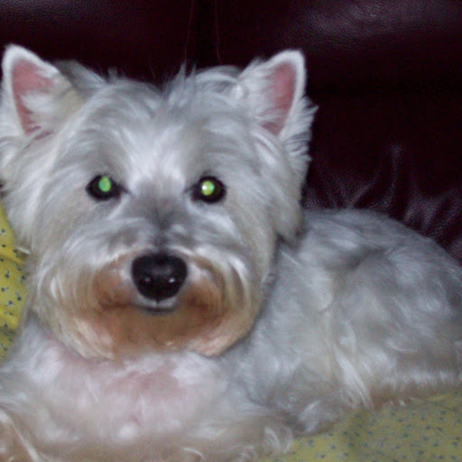 Mark Ramsey Photo 15