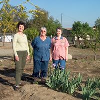 Virginia Elmore Photo 17