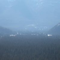 Cathy Stein Photo 25