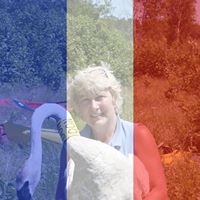 Kathleen Strong Photo 33