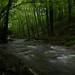 Jonathan Pyles Photo 19