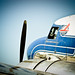 Douglas Dobbins Photo 19