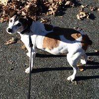 Mark Sampson Photo 50