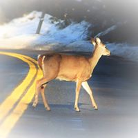 Dean Knowles Photo 18