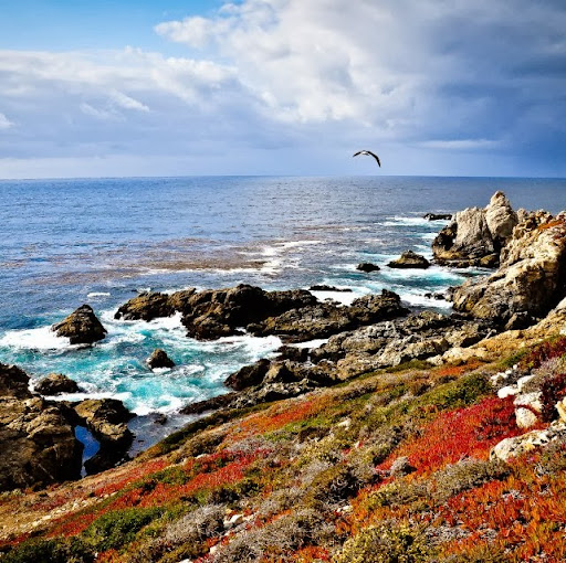 Peter Houston Photo 31