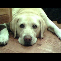 Keith Studer Photo 3