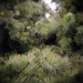 Ruby Weis Photo 10