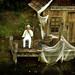 Mark Alley Photo 15