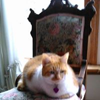 Nancy Robinson Photo 45