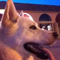 Jill Melton Photo 28